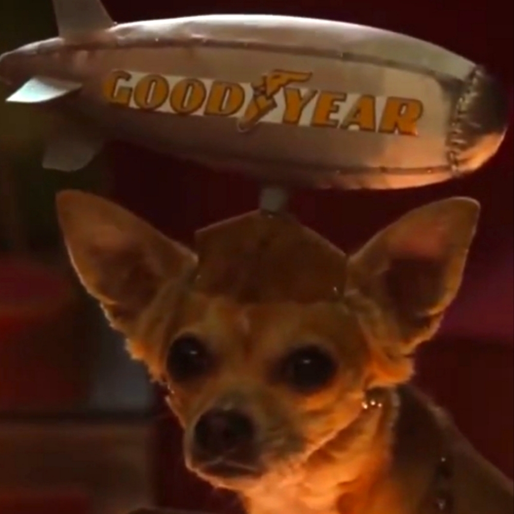 Official Movie Prop! Legally Blonde 2, Bruiser Woods' Goodyear Blimp Hat View 3